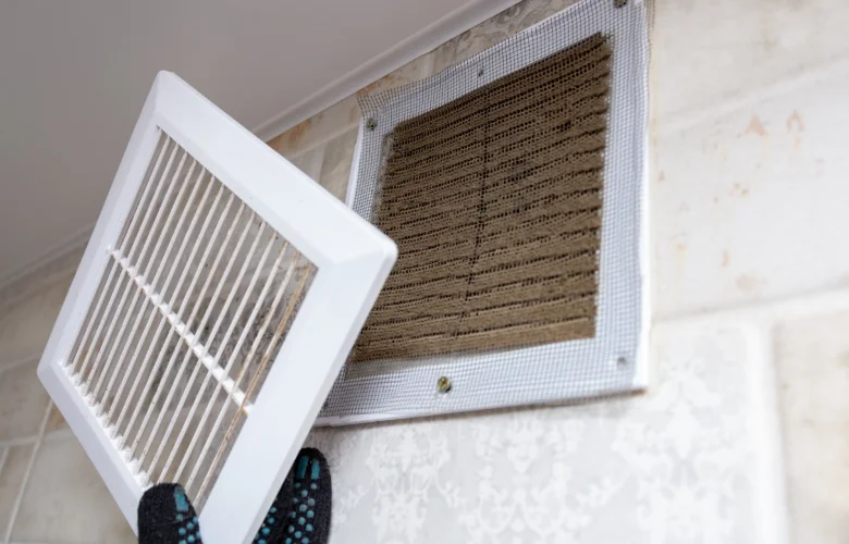DVO technician installing air quality system in Mesquite, TX